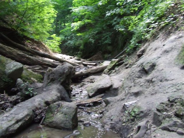DSCF0143 (Medium)
